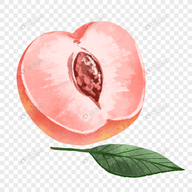 WWW,385se·COM网站APPAPP应用